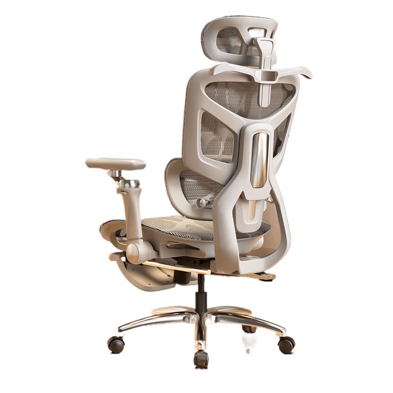 Ergonomic Office Chair - Sedia da Ufficio Ergonomica per Lavoro