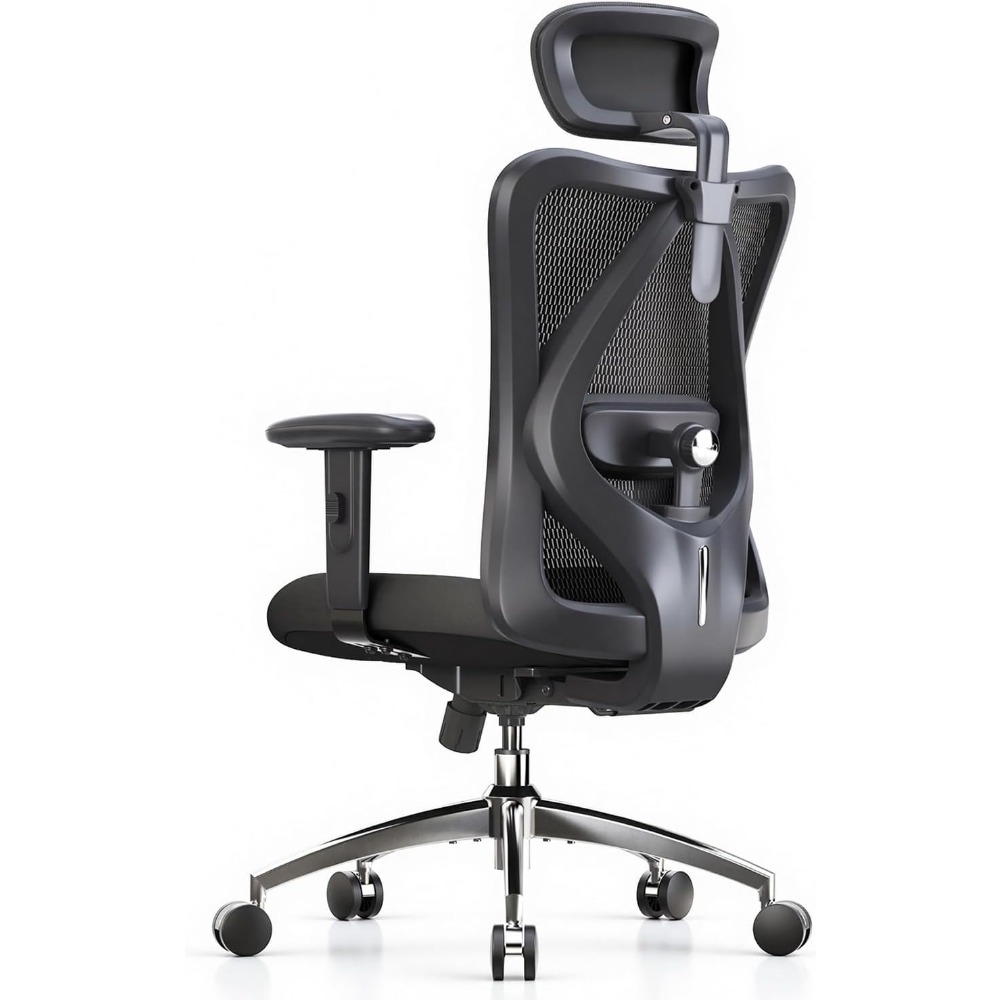 Sedia da Ufficio Ergonomica in - Ergonomic Office Chair recensione e prezzo