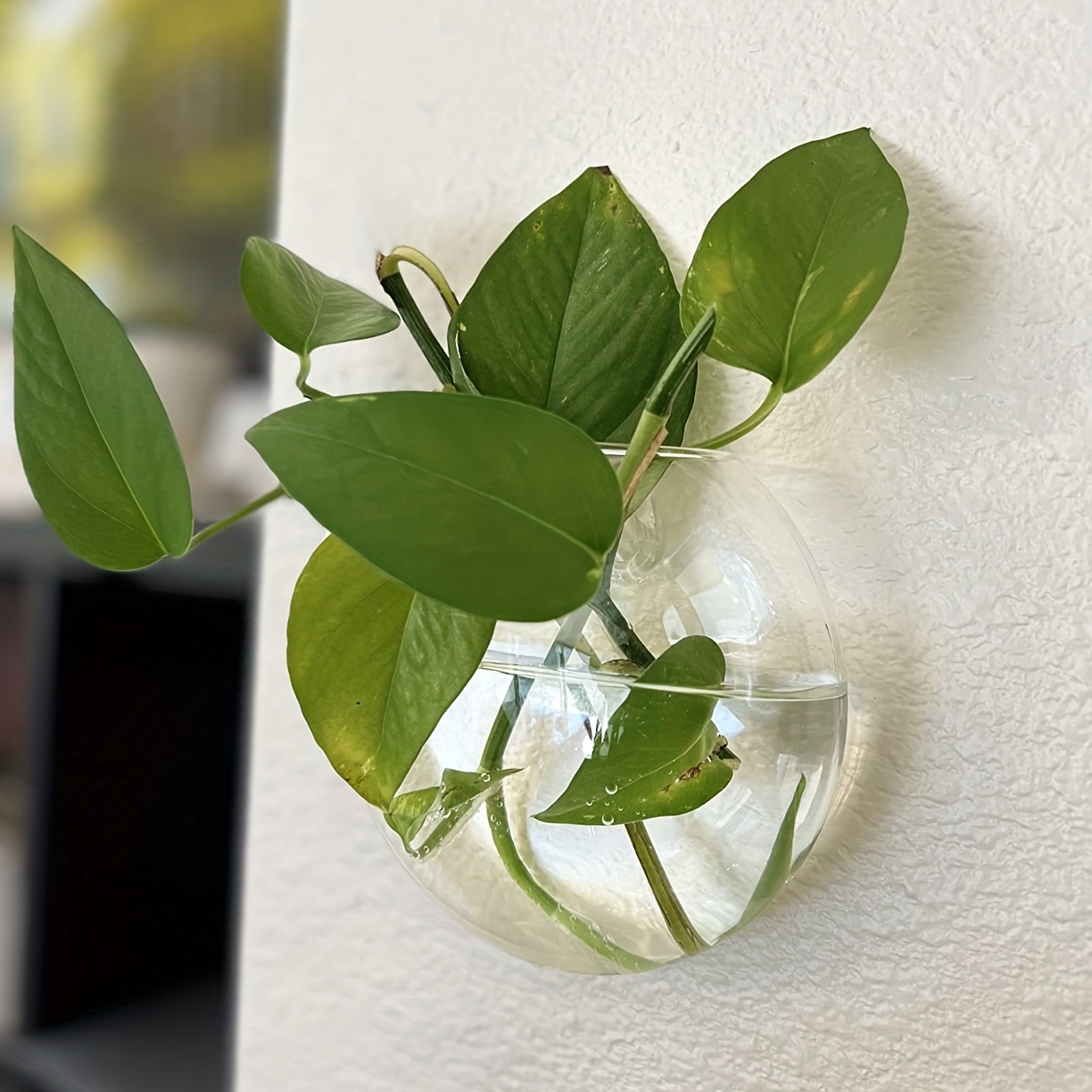 2 pezzi/4 pezzi/6 pezzi vaso d - Home Office Form recensione e prezzo