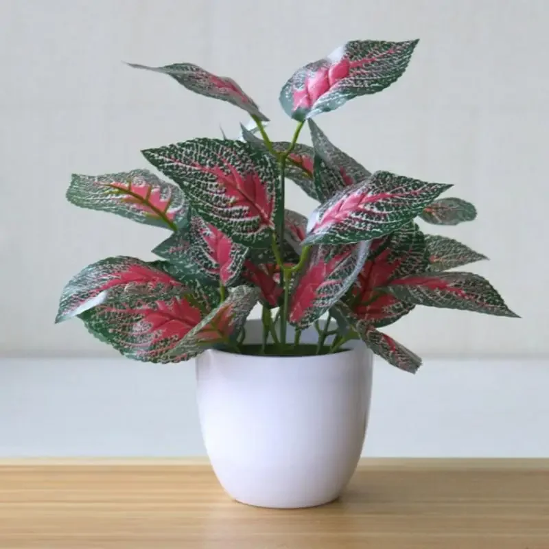 Piante artificiali Bonsai Pian - Home Office Jobs recensione e prezzo